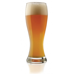 O146 VASO CERVECERO ALTTO 591 ML / 20 OZ