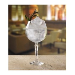 6021040 COPA GIN & TONIC SPEAKEASY 580 ML / 19.6 OZ