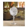 6021040 COPA GIN & TONIC SPEAKEASY 580 ML / 19.6 OZ