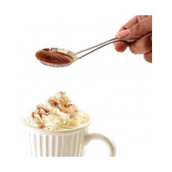 CUCHARA ESPOLVOREADORA